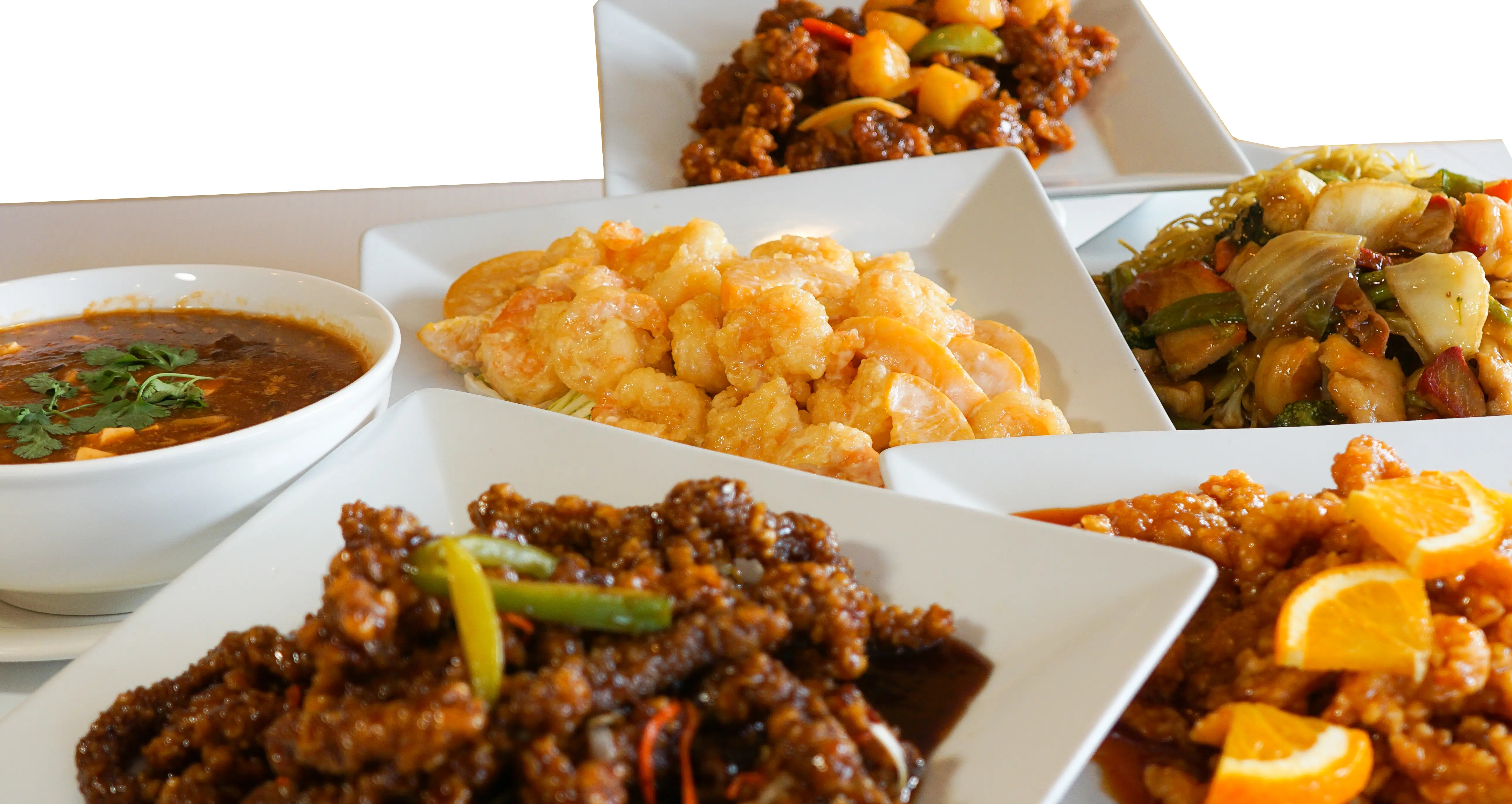 Chinese Hakka & Biryani Box by Madhuban - Best Hakka & Biryani Restaurant in Edmonton